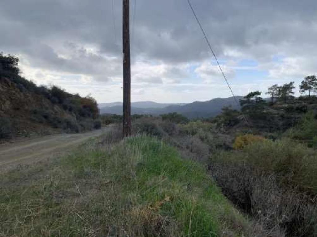 Field-Lageia-PR41593