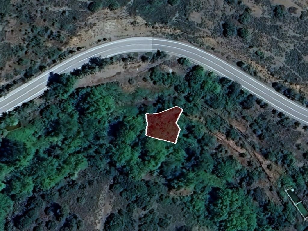 Field-Palaichori Morfou-PR41925