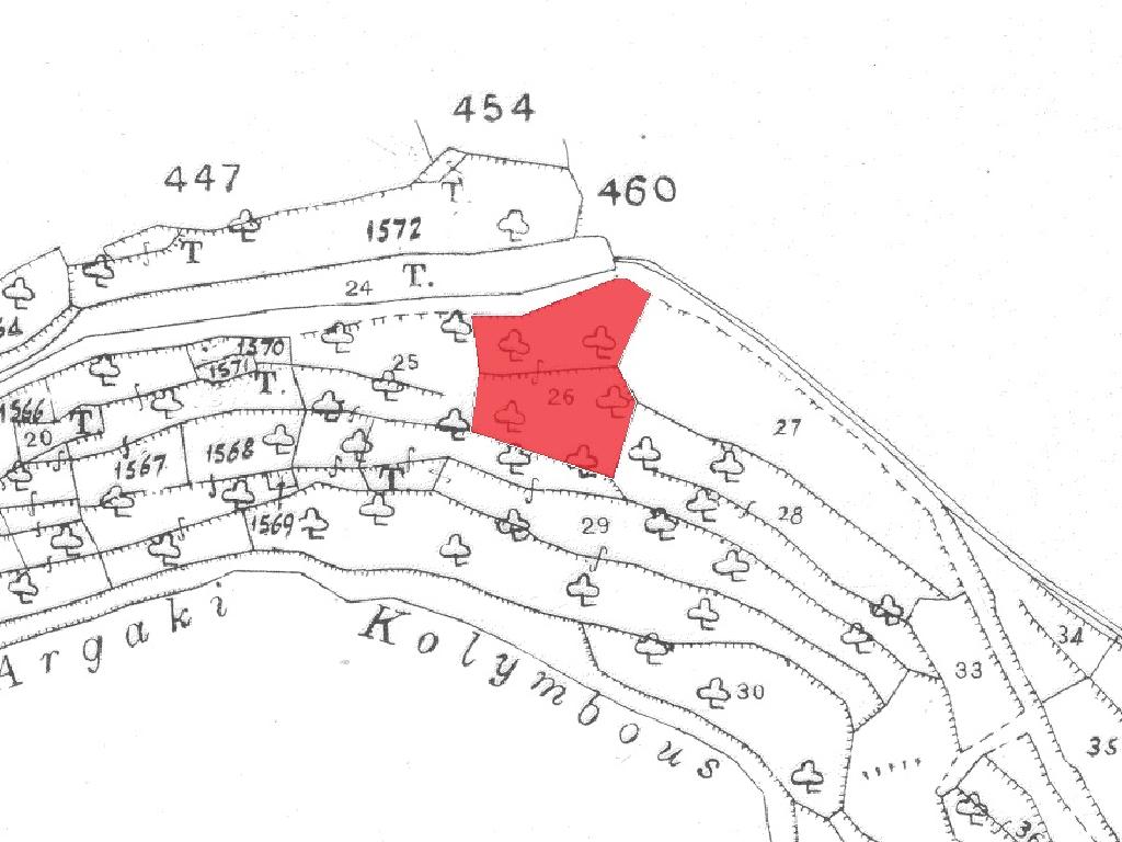 Field-Palaichori Morfou-PR41925