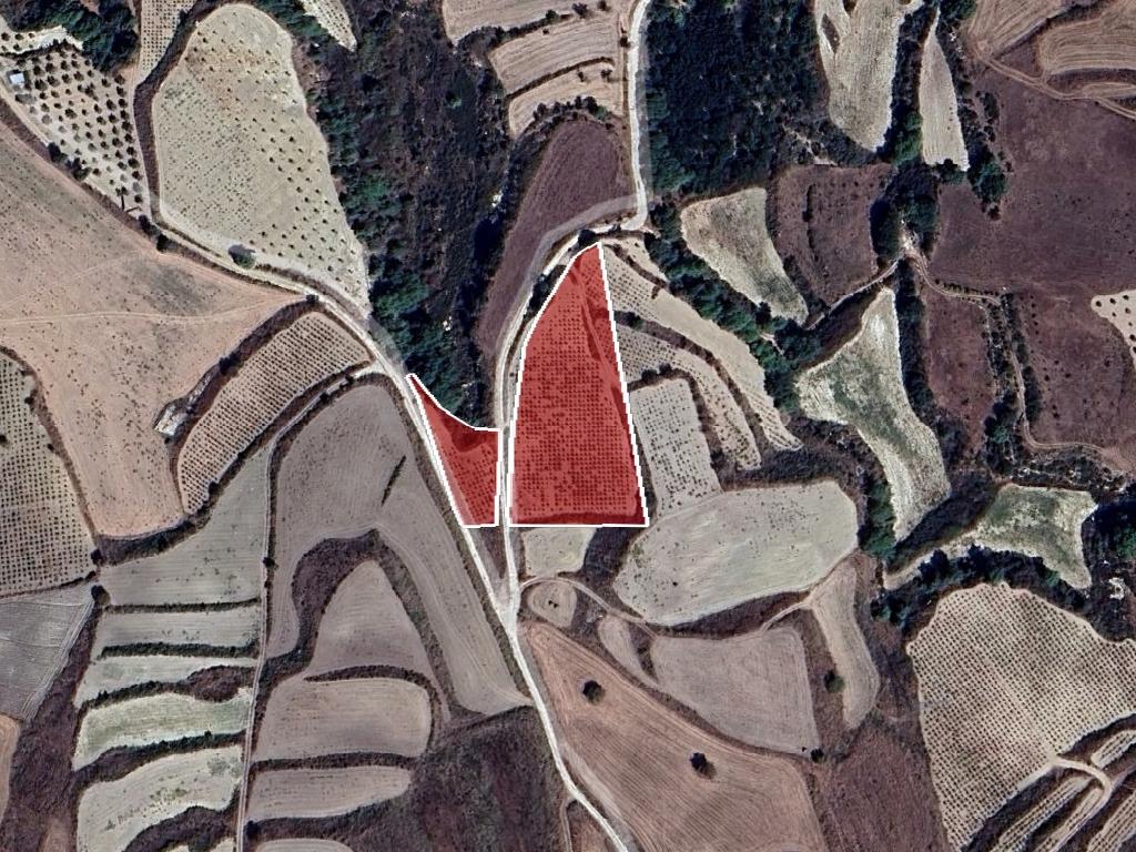 Field-Stroumpi-CP10091