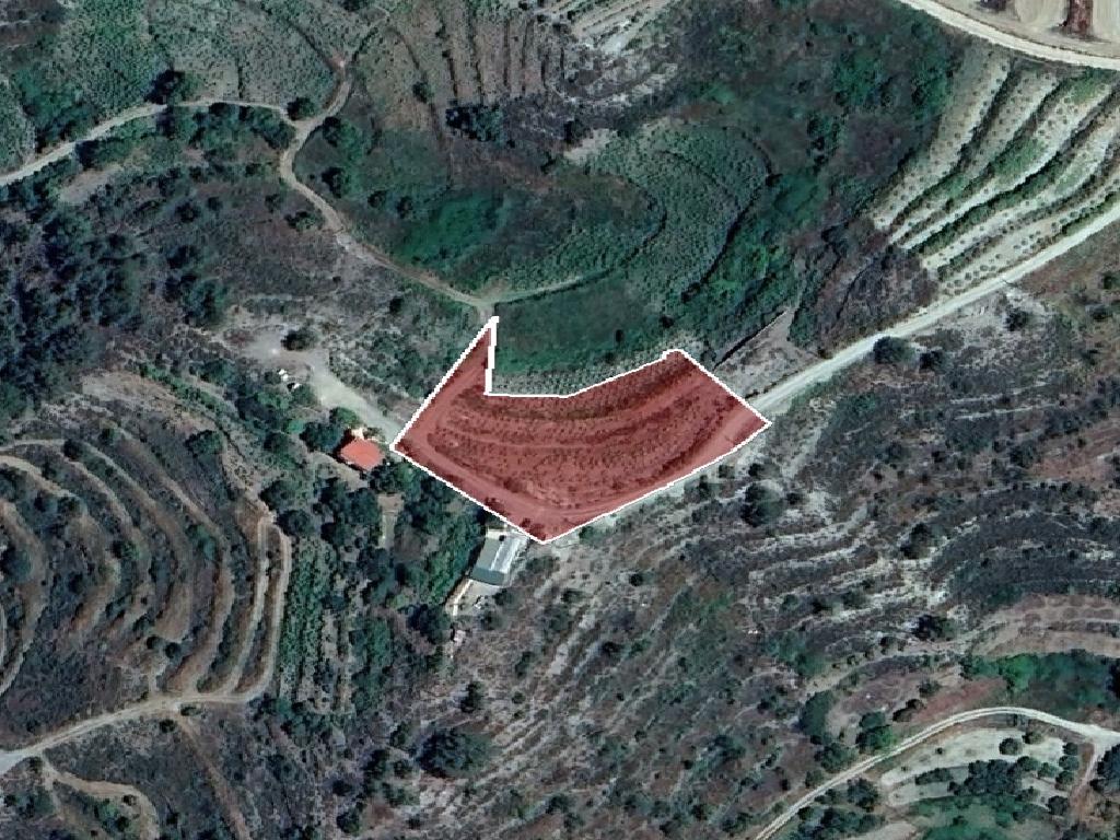 Field-Agios Ioannis-PR42123
