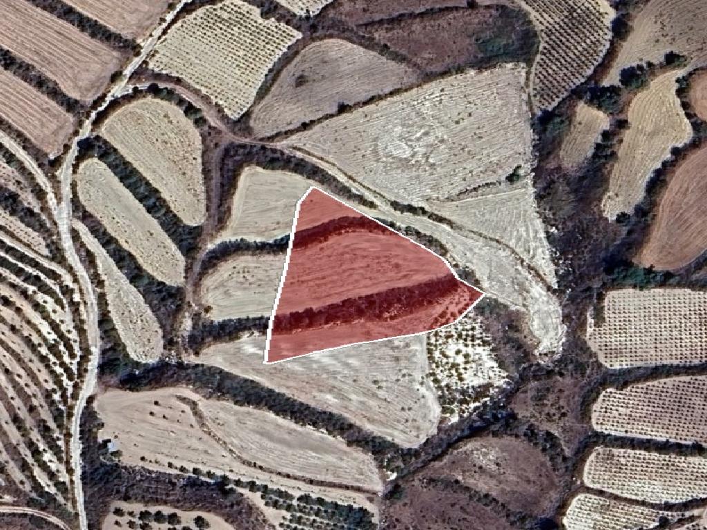 Field-Stroumpi-PR42628