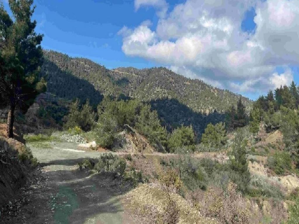 Field-Agia Eirini-PR43023