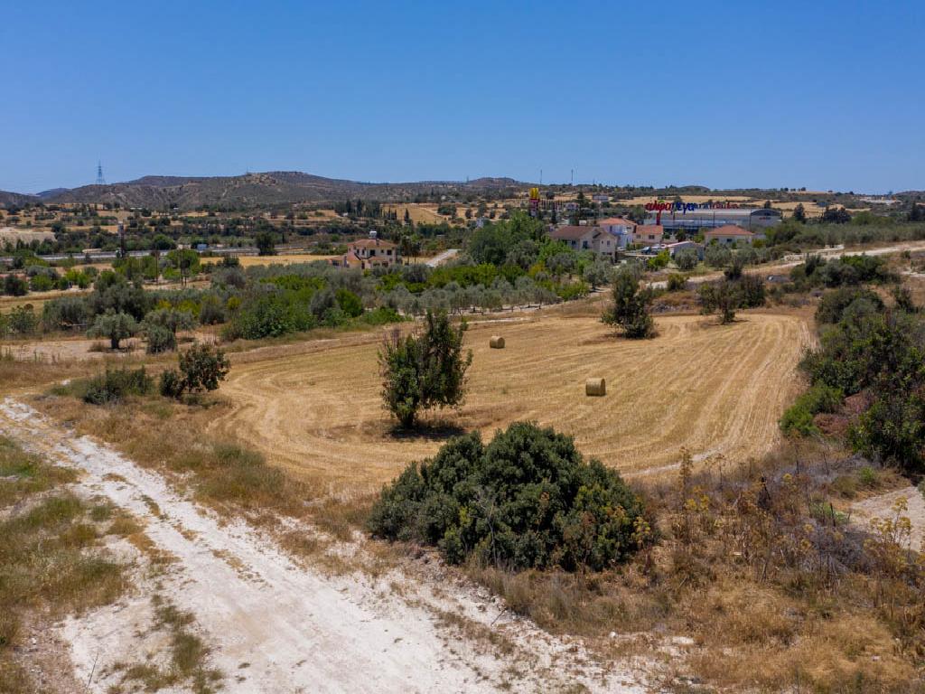 Field - Skarinou, Larnaca