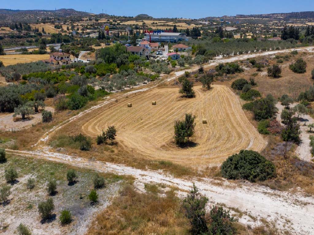 Field - Skarinou, Larnaca