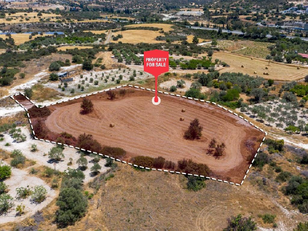 Field - Skarinou, Larnaca