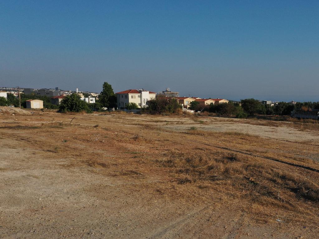 Field (Share) - Mesogi, Paphos
