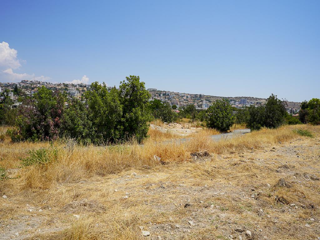 Field - Agia Fylaksi, Limassol