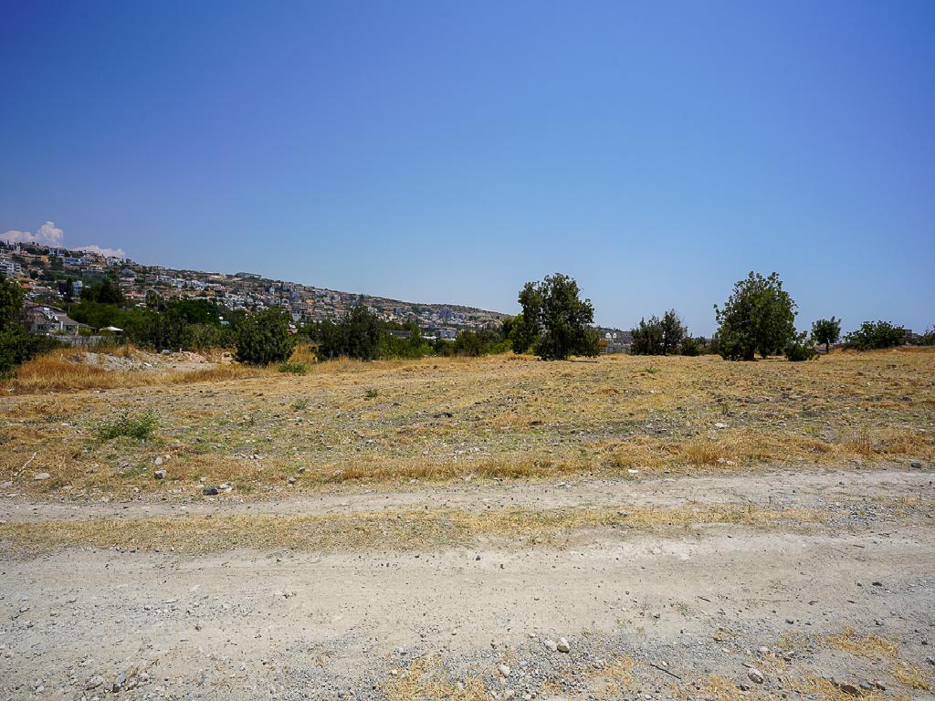 Field-Limassol Municipality-PR33492