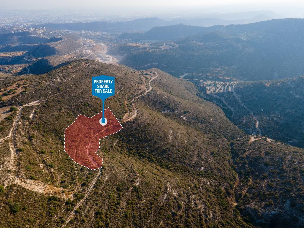 Field-Agios Athanasios-PR35848
