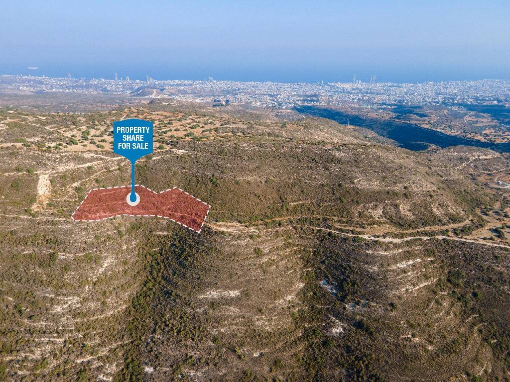 Field-Agios Athanasios-PR35848