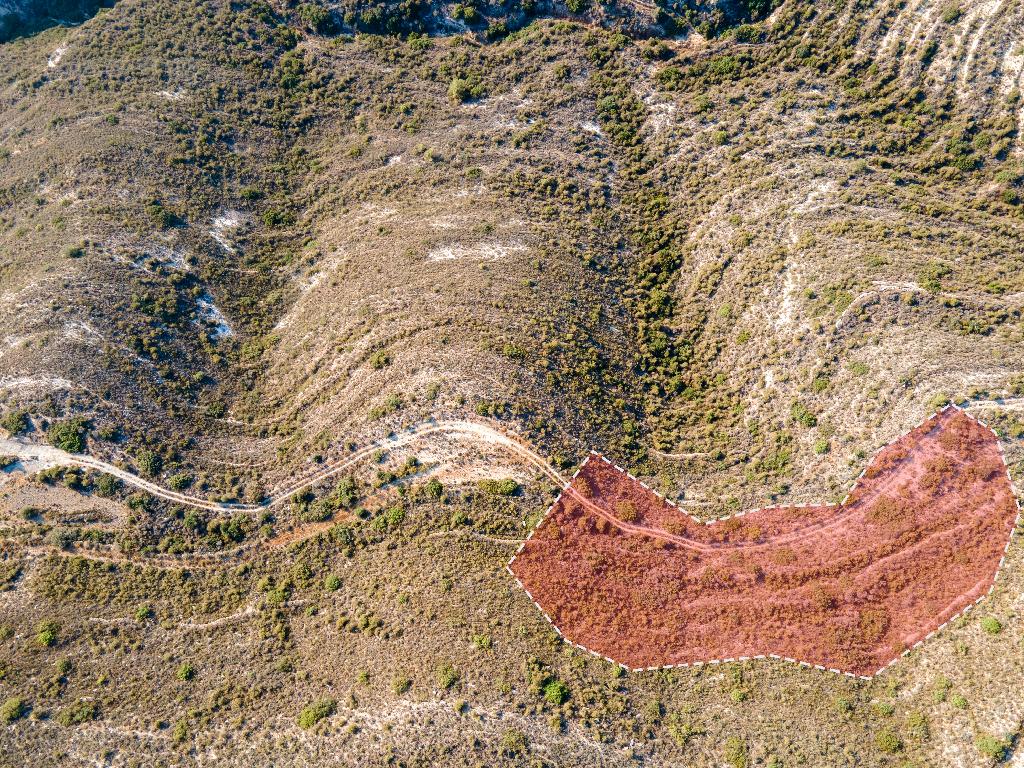 Field-Agios Athanasios-PR35848