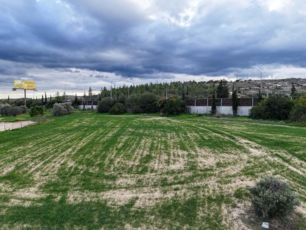 Field-Pera Chorio-PR37554