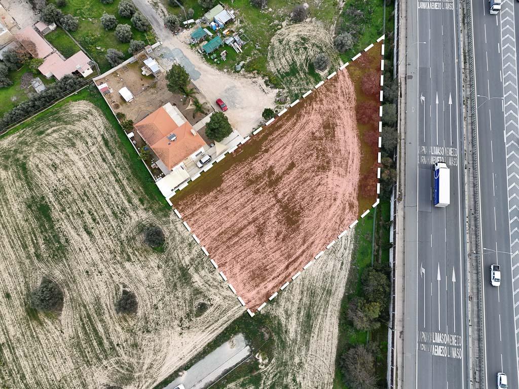 Field-Pera Chorio-PR37554