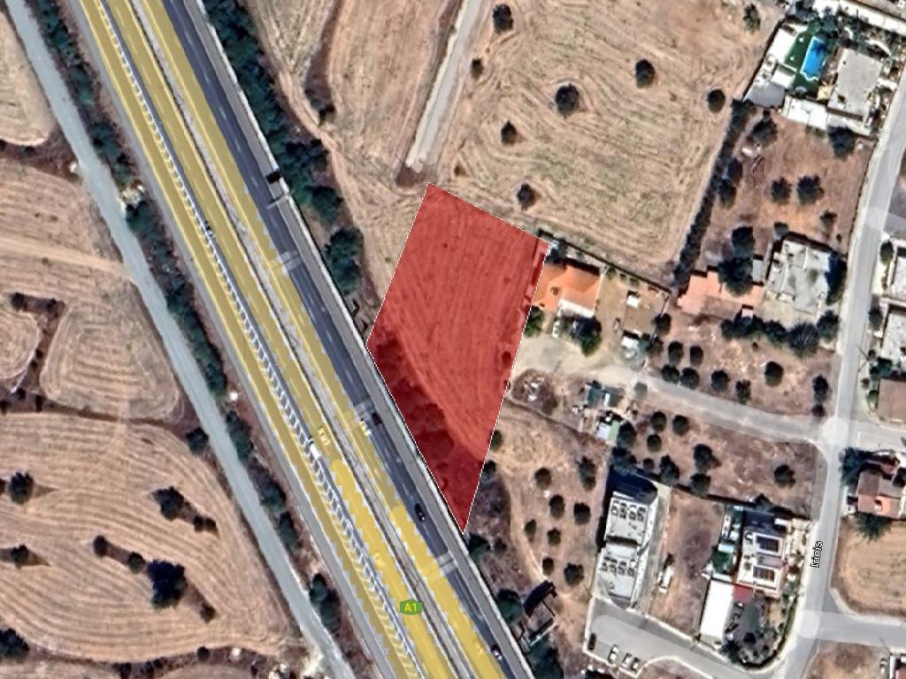 Field-Pera Chorio-PR37554