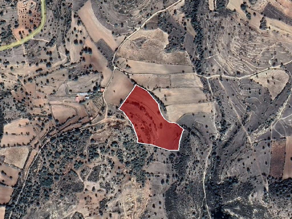 Field-Pachna-PR38501