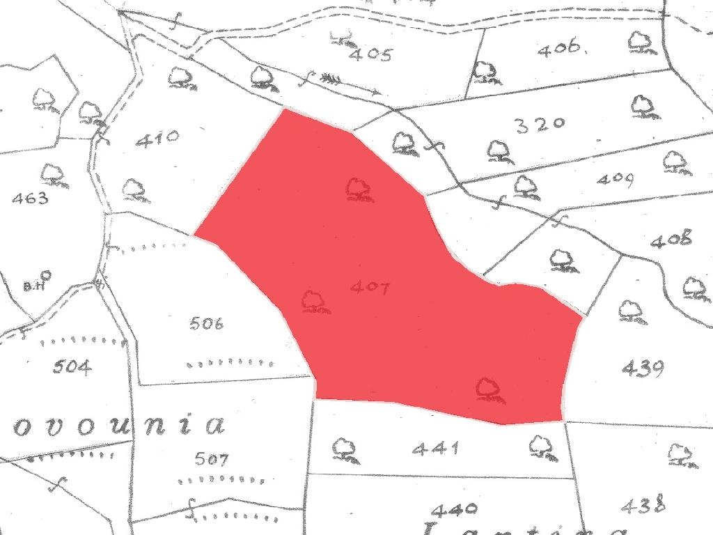 Field-Pachna-PR38501
