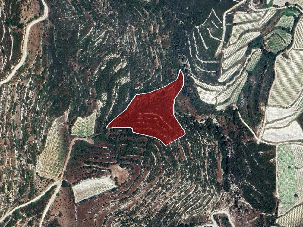 Field-Koilani-PR39283