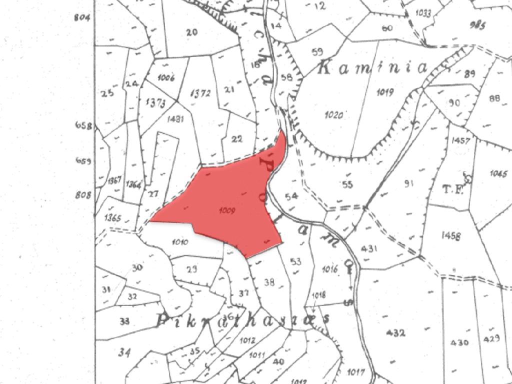 Field-Koilani-PR39283
