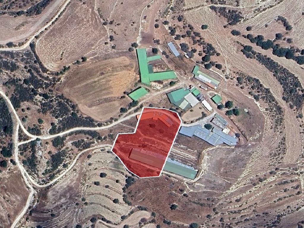 Field-Amargeti-PR39481