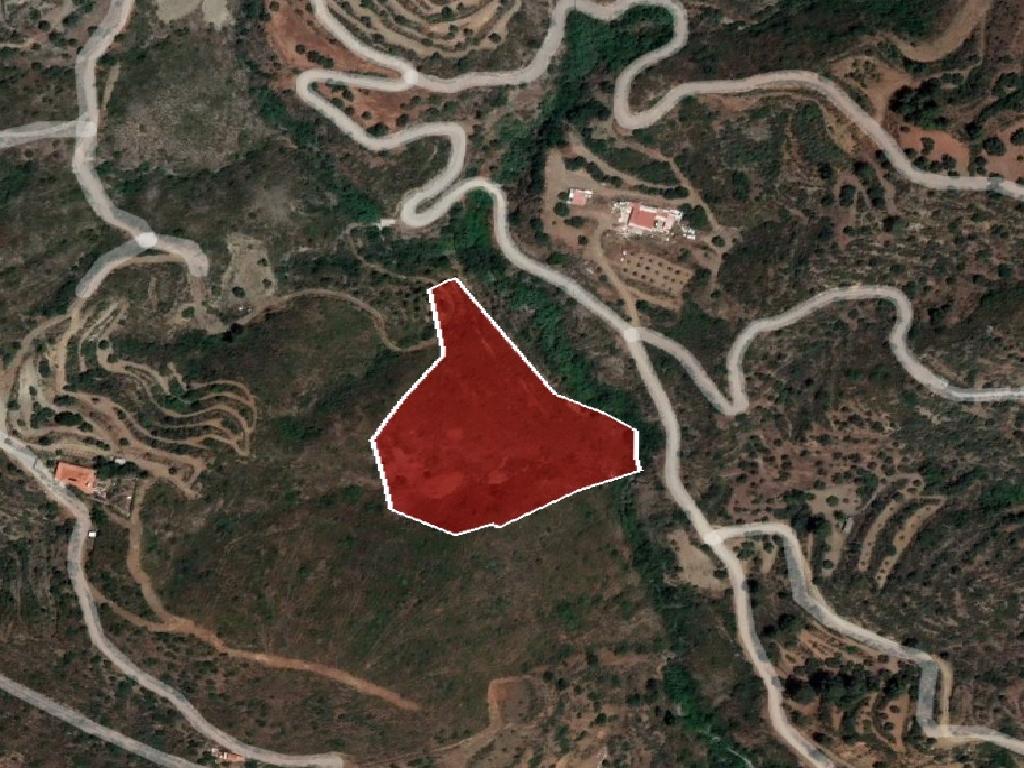 Field-Ora-PR39662