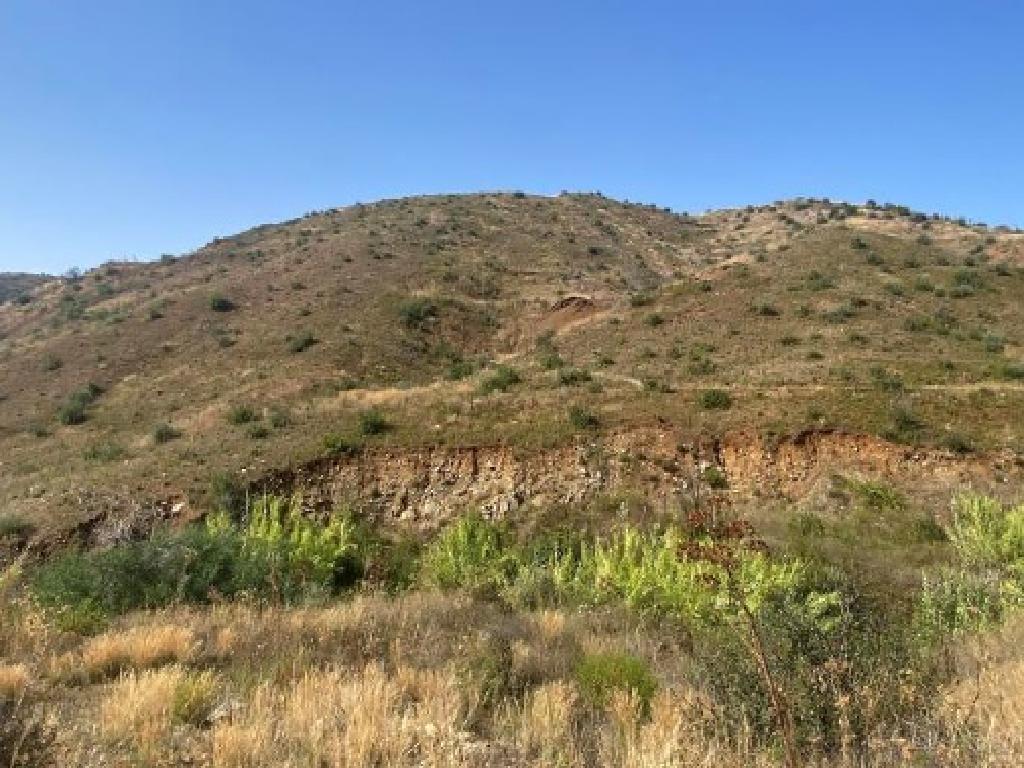 Field-Ora-PR39662