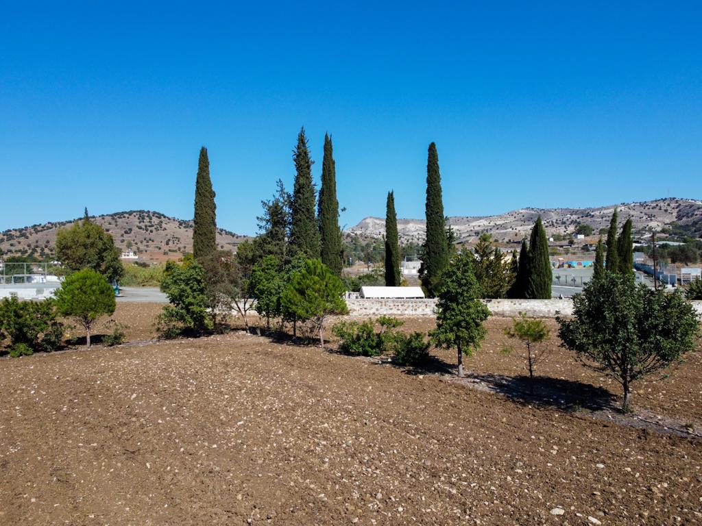 Field-Psevdas-PR40282