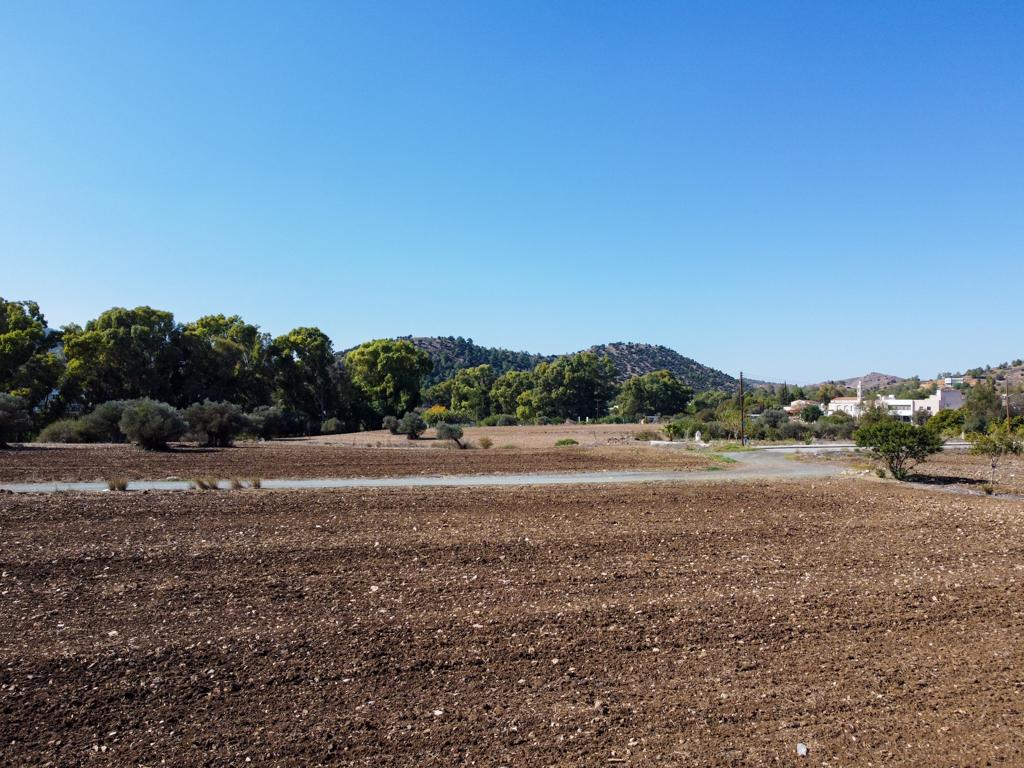 Field-Psevdas-PR40282