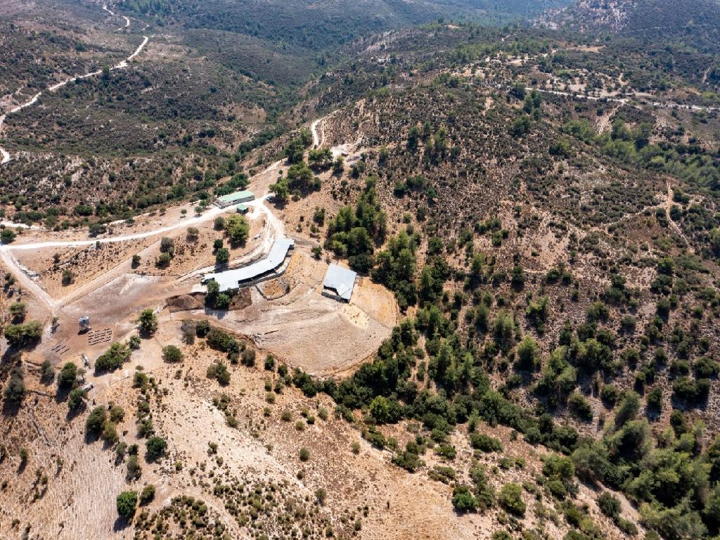 Field-Anogira-PR41094