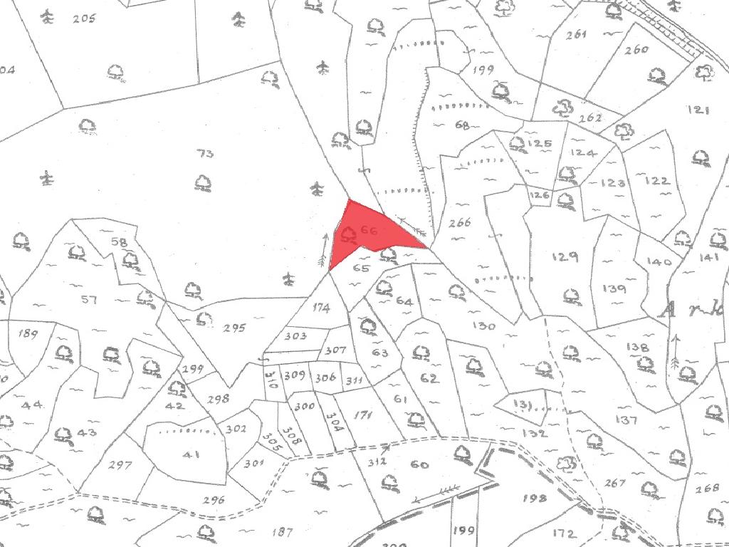 Field-Anogira-PR41094