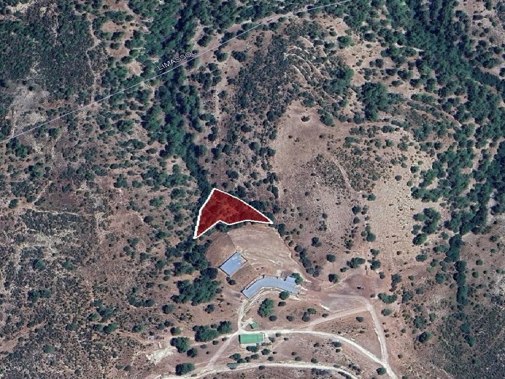 Field-Anogira-PR41094