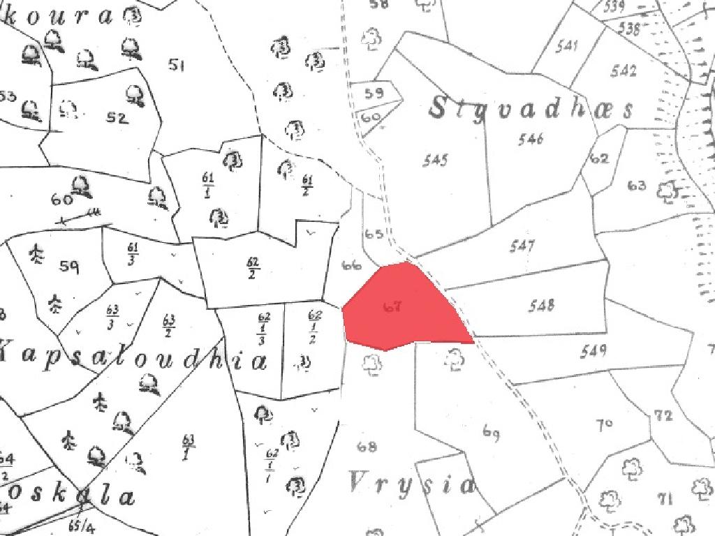 Field-Dora-PR41418
