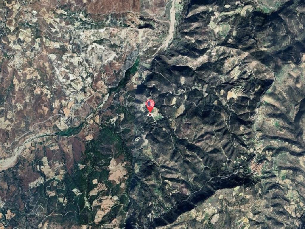 Field-Dora-PR41418