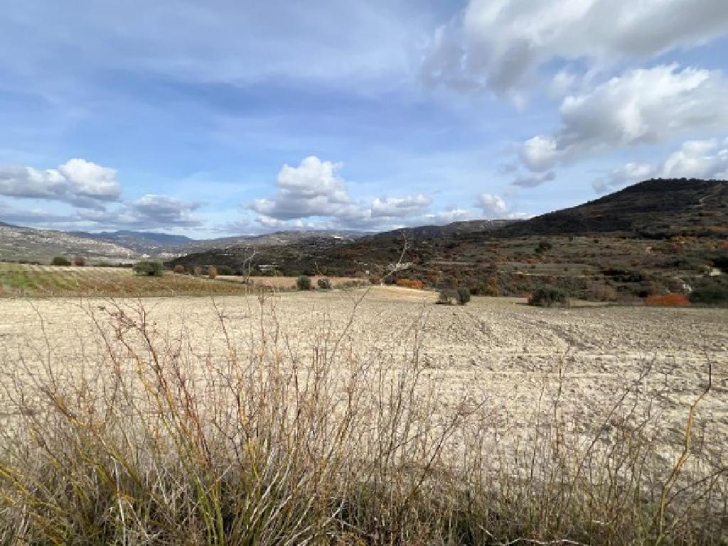 Field - Dora, Limassol