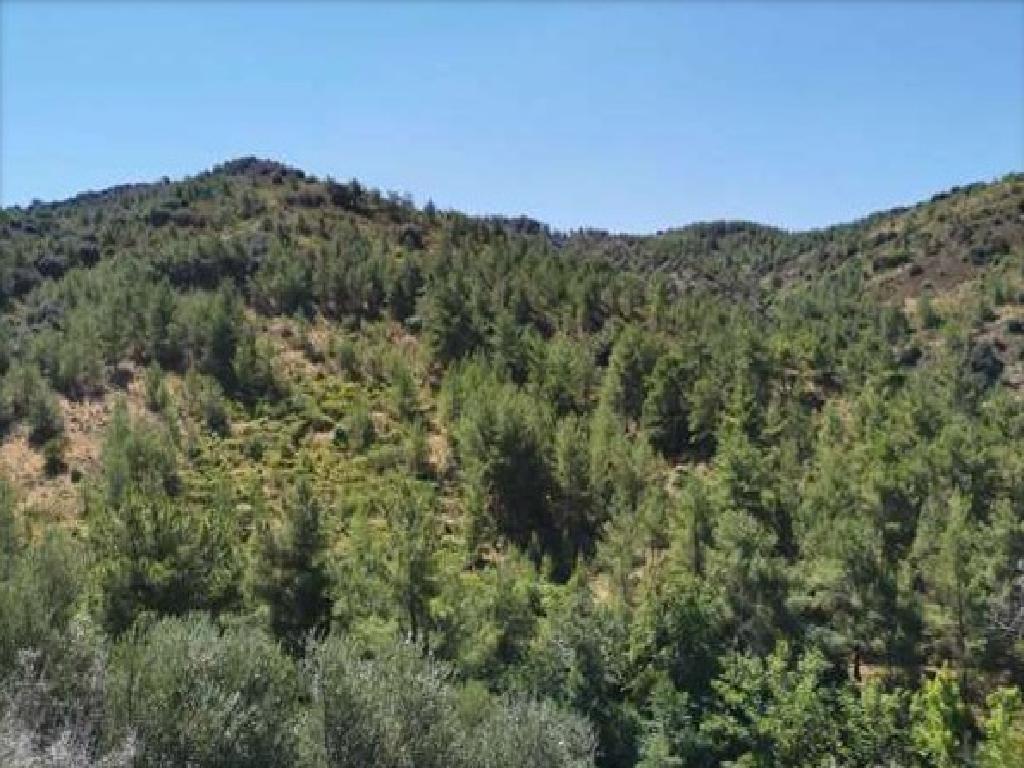 Field-Palaiomylos-PR41496