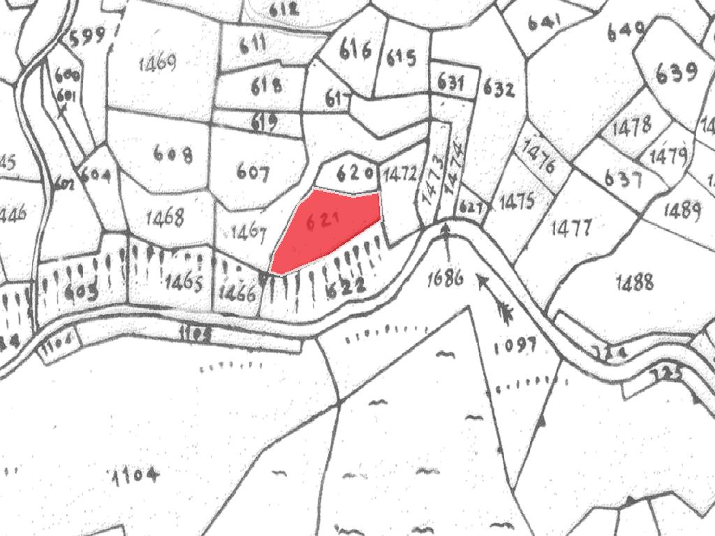 Field-Foini-PR42117