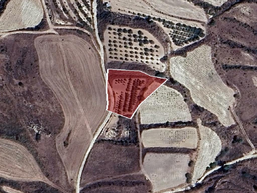 Field-Stroumpi-PR42627