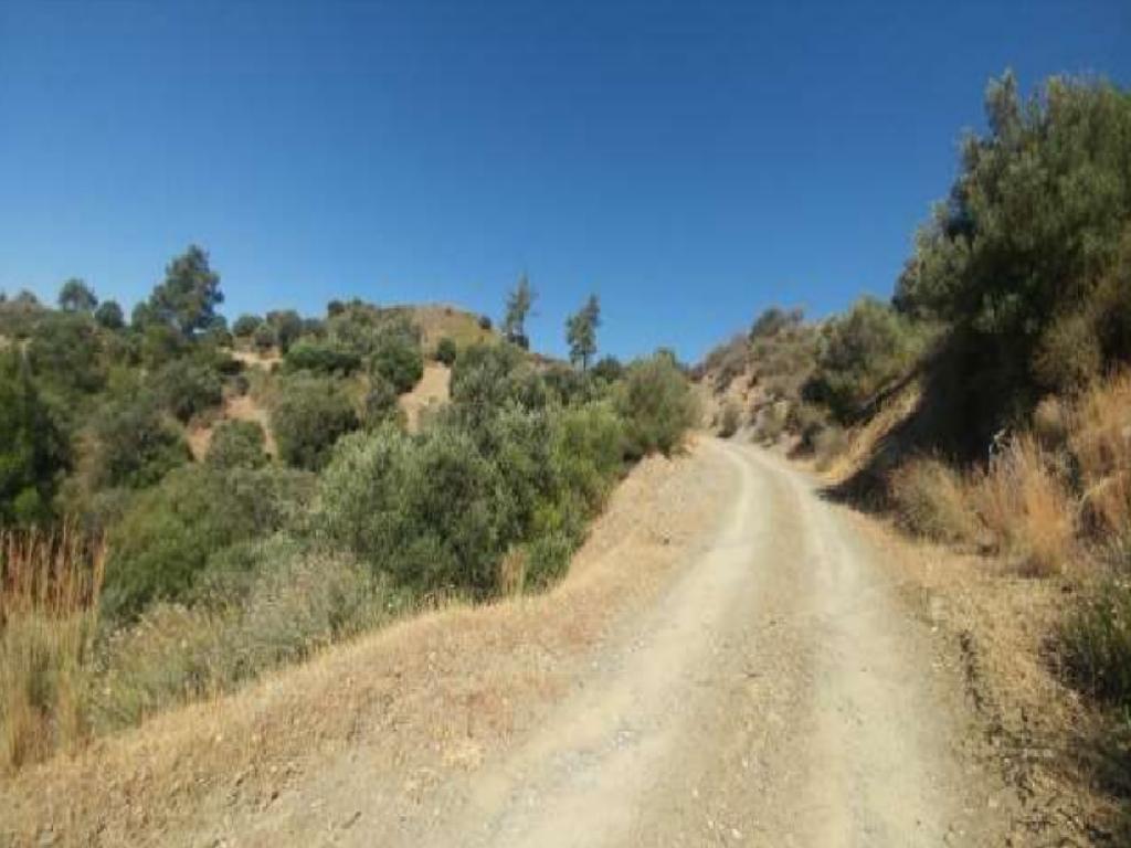 Χωράφι-Ορά-CP10192