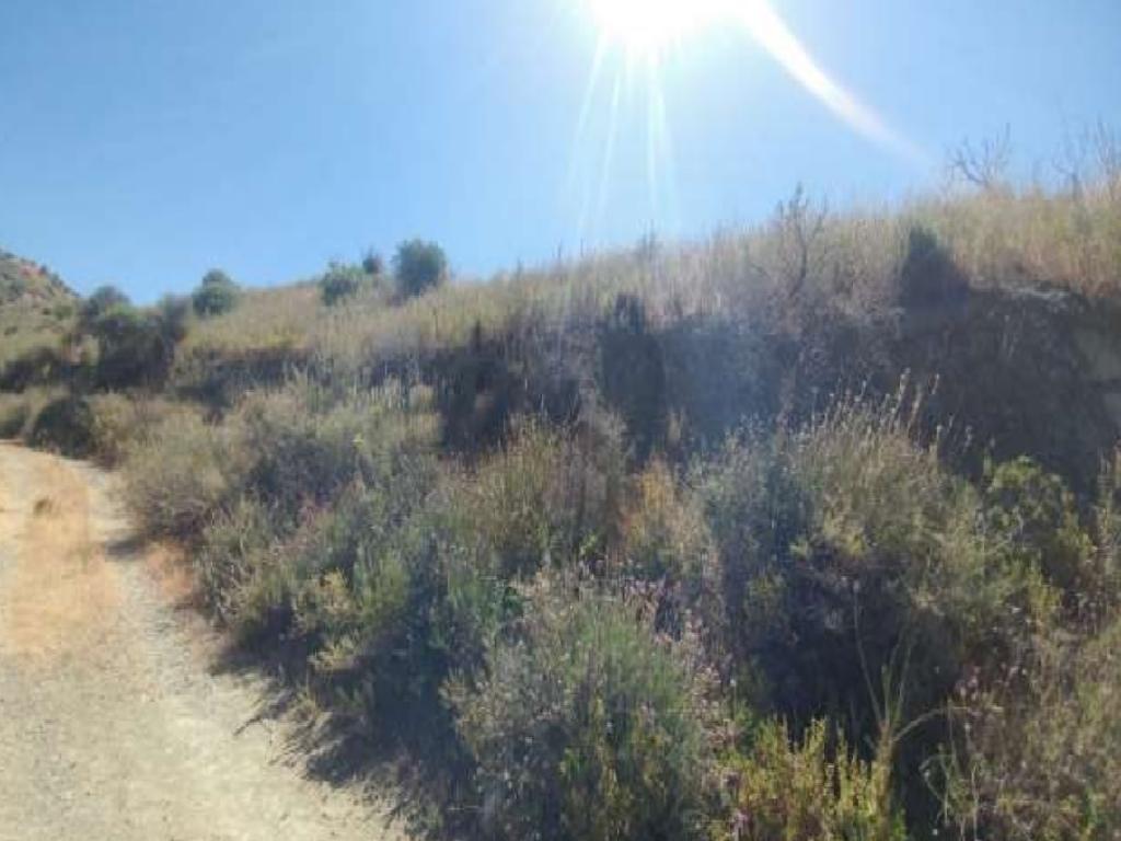 Χωράφι-Ορά-CP10192