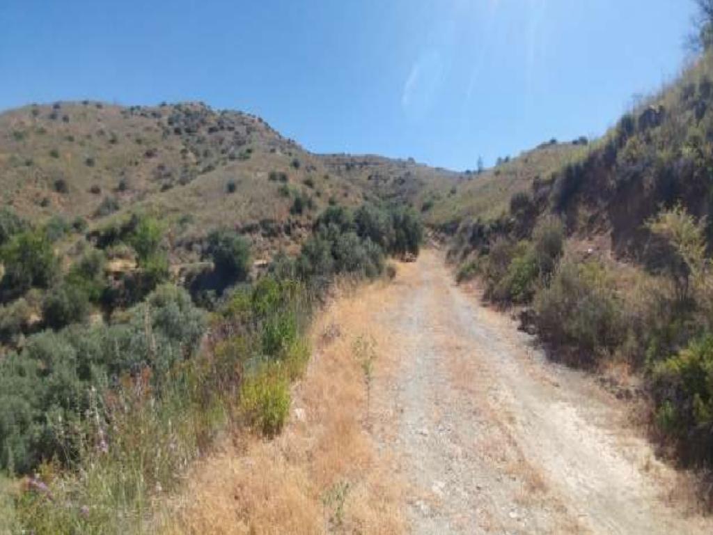 Χωράφι-Ορά-CP10192