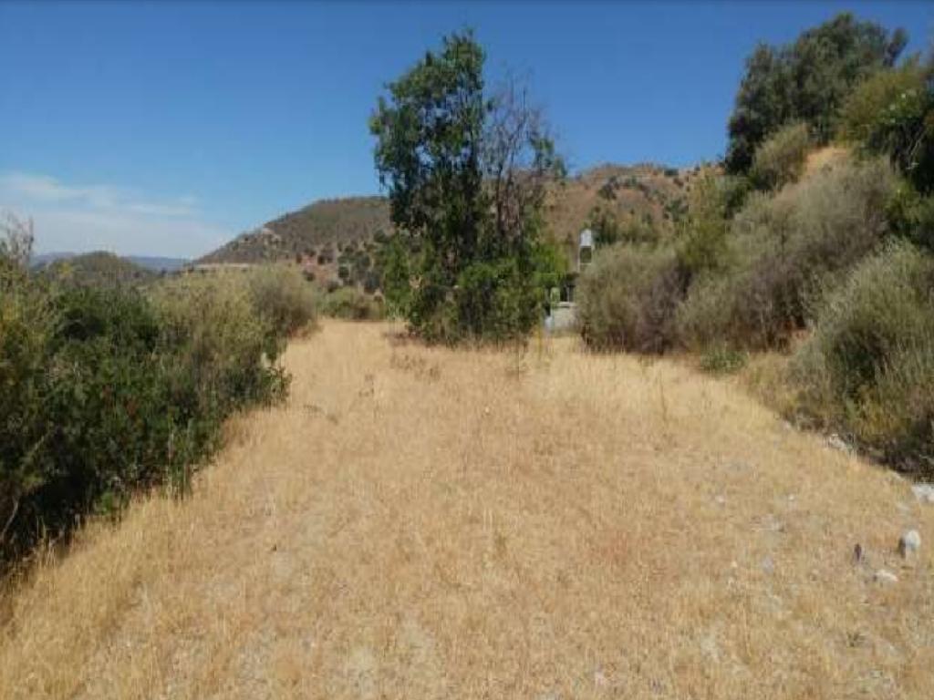 Χωράφι-Ορά-CP10192