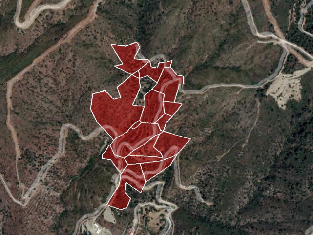 Χωράφι-Ορά-CP10192