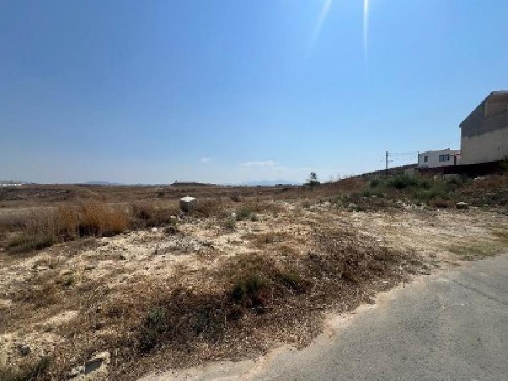 Field - Dali, Nicosia