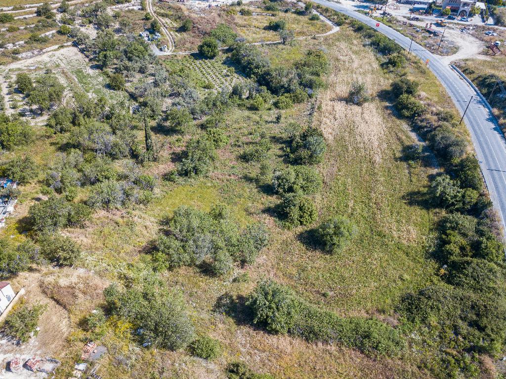 Field - Agios Amvrosios, Limassol