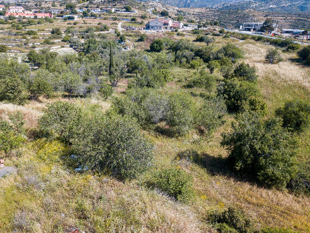Field - Agios Amvrosios, Limassol