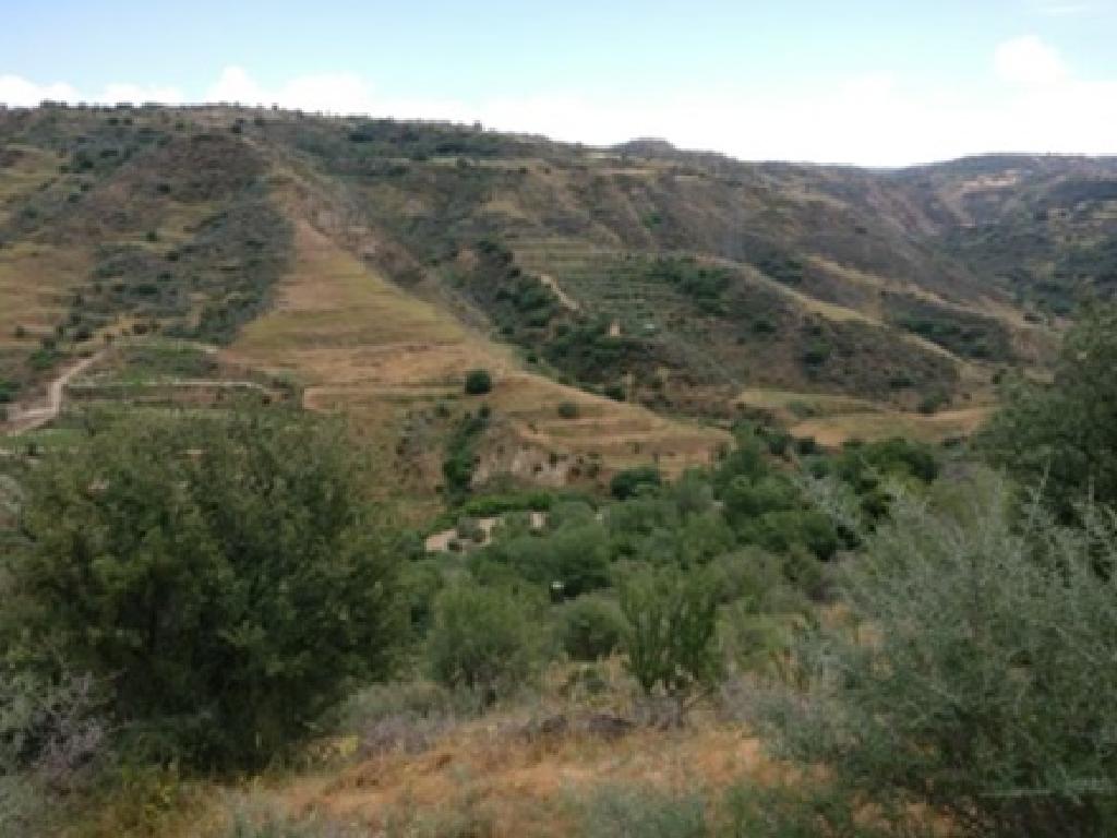 Field-Giolou-PR12405