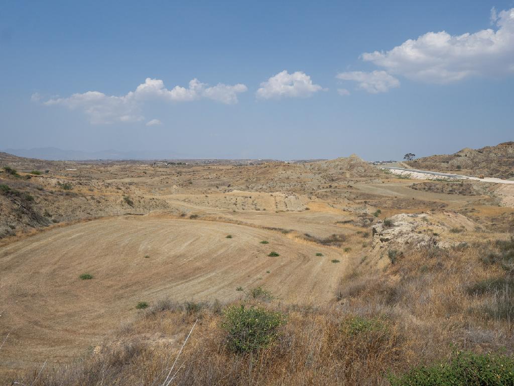 Field - Arediou, Nicosia