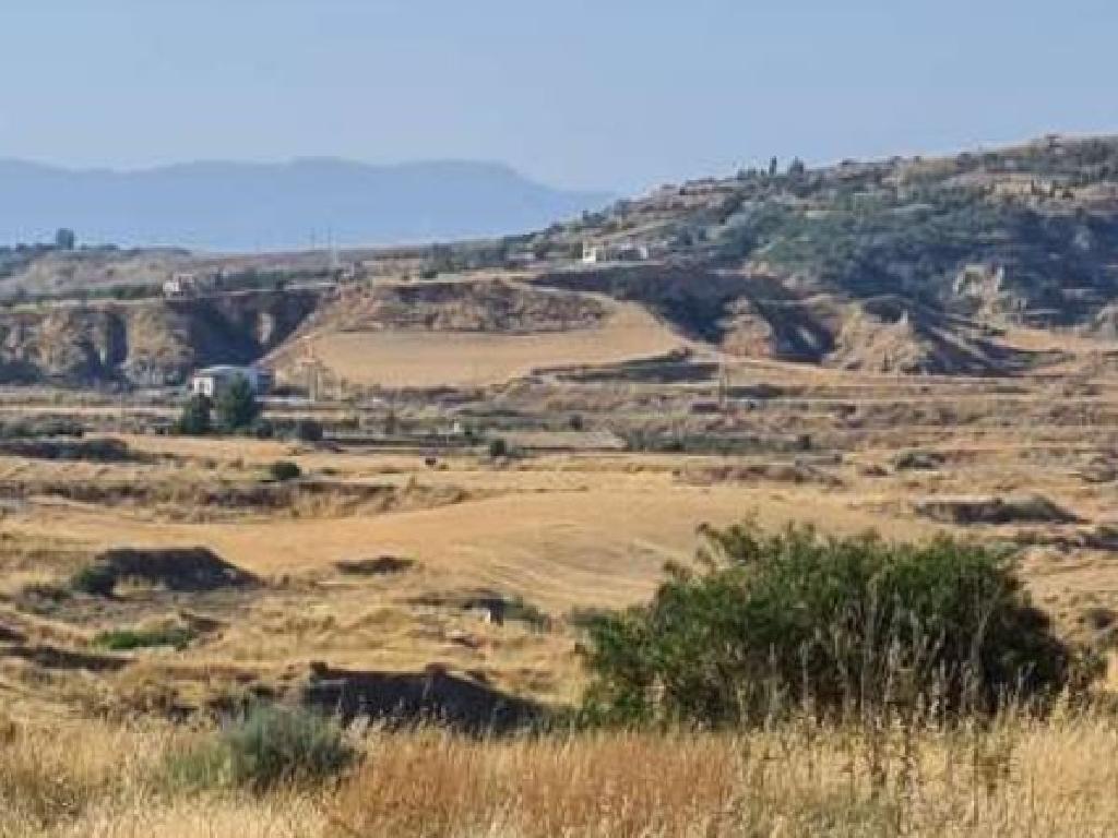 Field-Arediou-PR14909