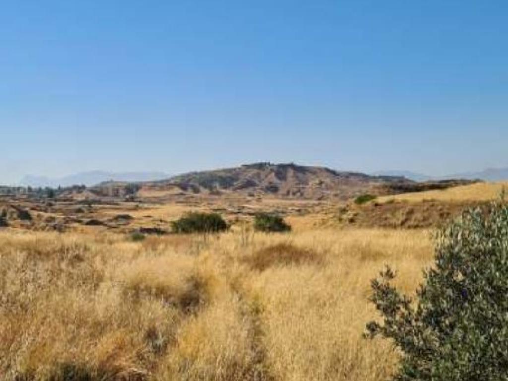 Field-Arediou-PR14909