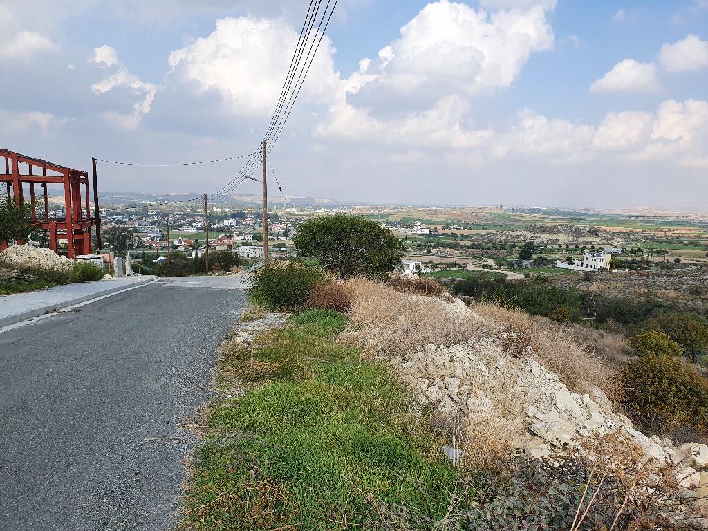Field-Dali-PR15071